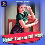 Neloh Tanam Dil Mere