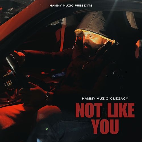 Not Like You