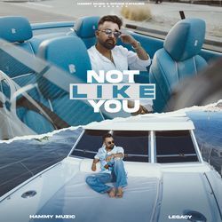 Not Like You