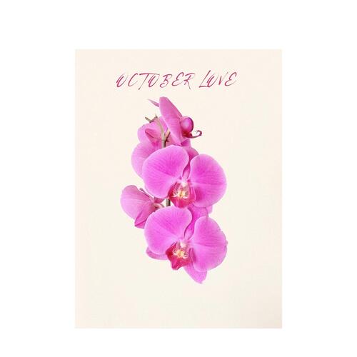 OCTOBER LOVE-okv tunes