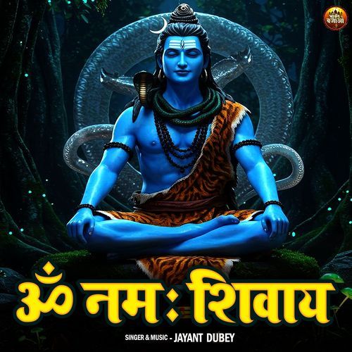 Om Namah Shivay