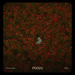 Poovu-Lx8hdTt1bXI