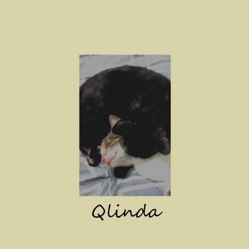 Qlinda cover art