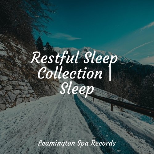 Feeling Sheltered cover art