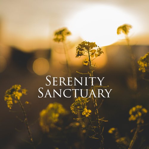 Serenity Sanctuary: Music and Nature for Inner Peace, Well-being, Restful Sleep and Relaxation_poster_image