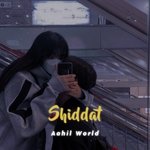 Shiddat (Slowed and Reverb)