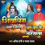 Shivling Hamar A Gaura Bund Bund Ke Tarasata