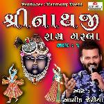 Shreenathji Raas Garba Pt.1