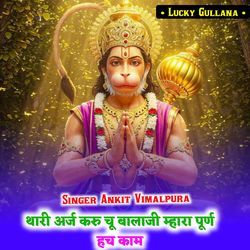 Thari Araj Karu Chu Balaji Maharaj Puran Hch Kaam