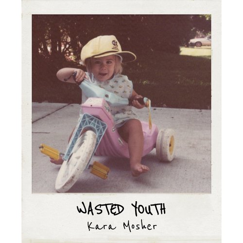 wasted youth stock x