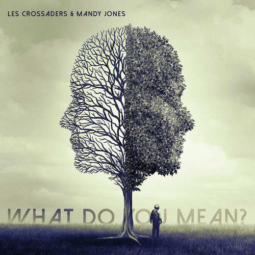 What Do You Mean?_poster_image