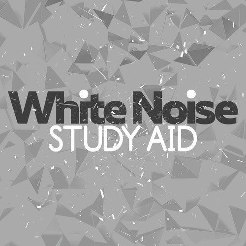 White Noise Study Aid