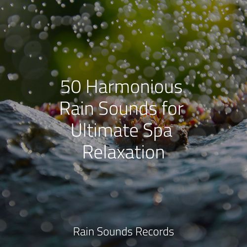 50 Harmonious Rain Sounds for Ultimate Spa Relaxation