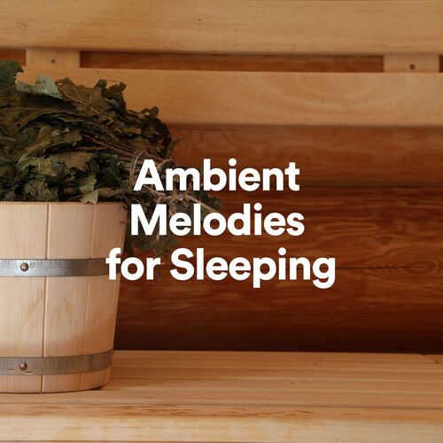 Ambient Melodies for Sleeping_poster_image