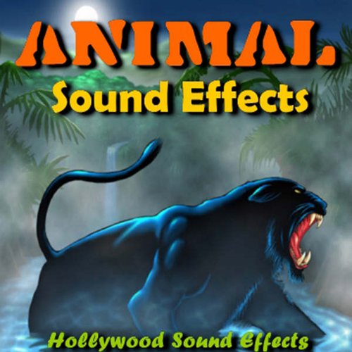 Animal Sound Effects Songs Download - Free Online Songs @ JioSaavn