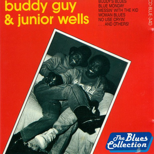 Buddy Guy &amp; Junior Wells_poster_image