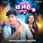 Dardiyo Wajah Puchhela