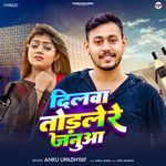 Dilwa Todle Re Janua