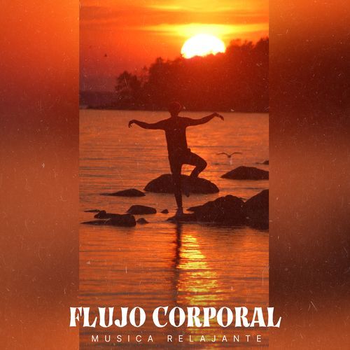 Organ Feeling cover art