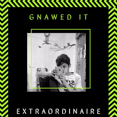 Gnawed It!_poster_image