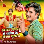 Hamara Jangal Me Saiya Ke Sherwa Ghusela