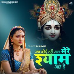 Jab Koi Nahi Aata Mere Shyam Aate Hain