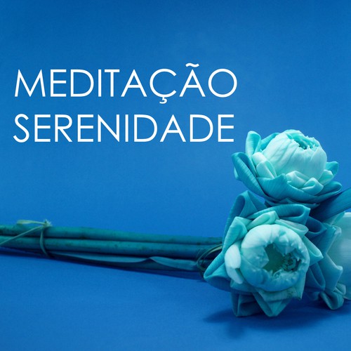 Musica Reiki cover art