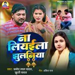 Na Liyaila Jhulaniya