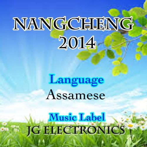 Nangcheng 2014