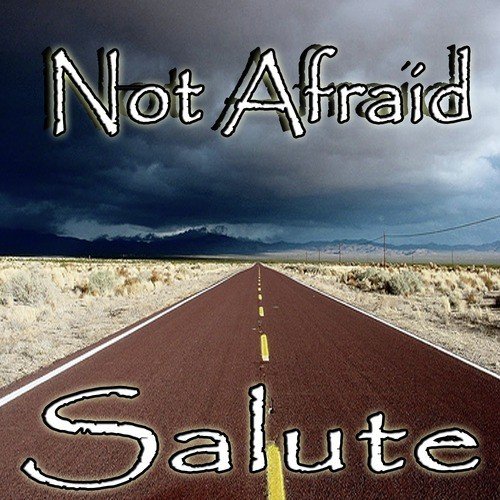 Not Afraid (Eminem Salute)_poster_image