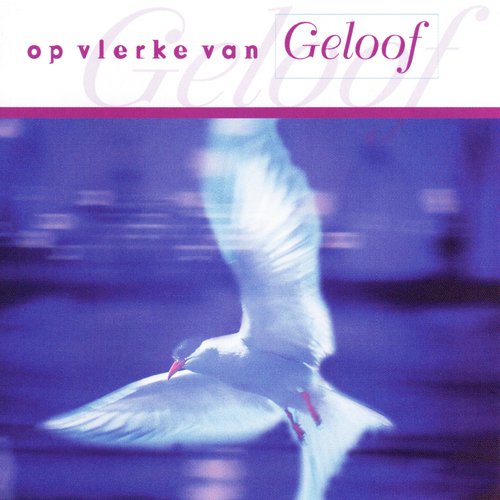 Op Vlerke Van Geloof