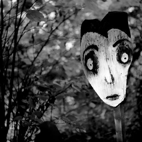 She Doesn't Care About My Songs