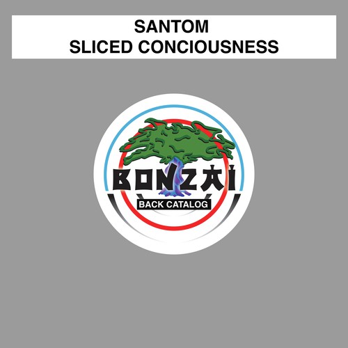 Sliced Conciousness (Original Mix)