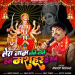 TERA NAAM LETE LETE HUM MASHOOR HO GYE HAI