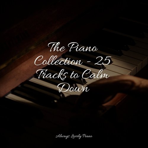 The Piano Collection - 25 Tracks to Calm Down