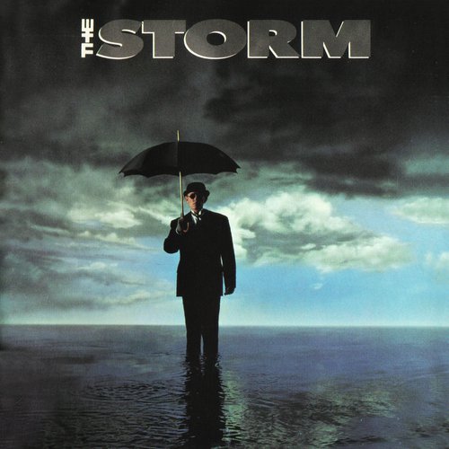 The Storm_poster_image