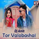 Tor Valobashai Dj Amit