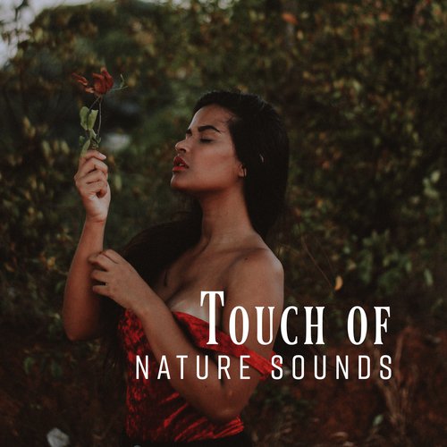 Calming Sounds cover art
