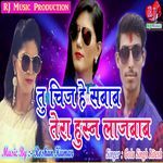 Tu Chiz He Sabab Tera Husn Lajabab