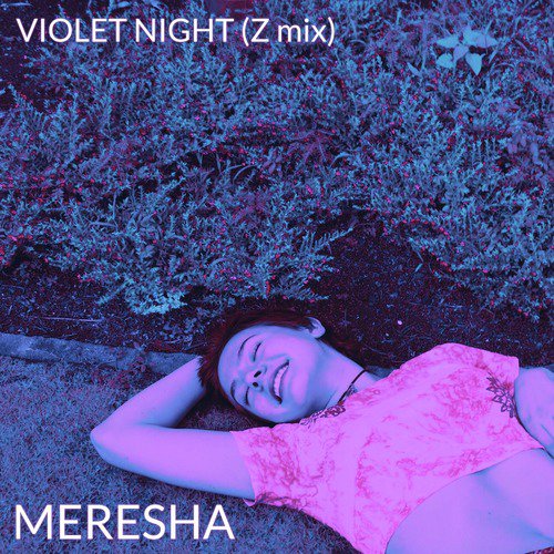 Violet Night (Z Mix)
