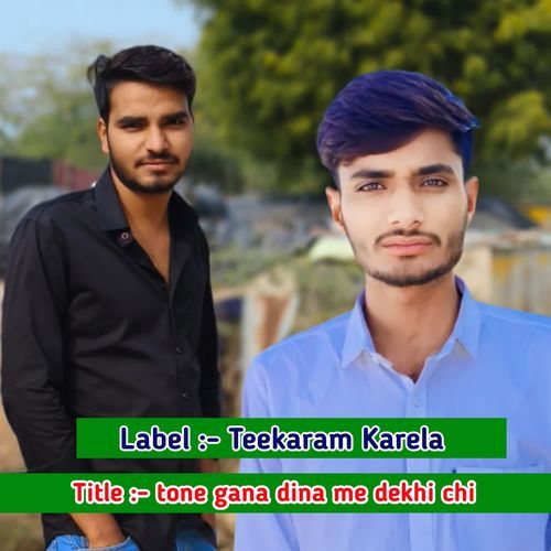 tone gana dina me dekhi chi