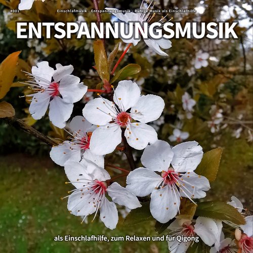 Entspannungsmusik cover art