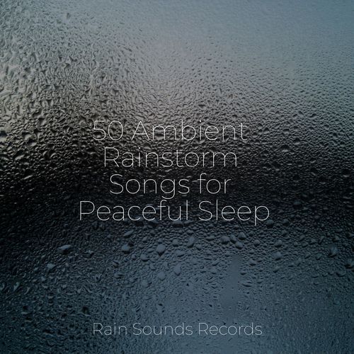 50 Ambient Rainstorm Songs for Peaceful Sleep_poster_image