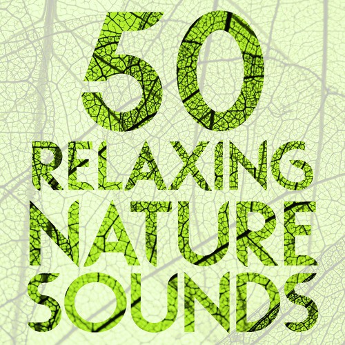 50 Relaxing Nature Sounds