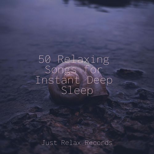 50 Relaxing Songs for Instant Deep Sleep_poster_image