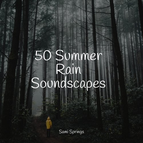 50 Summer Rain Soundscapes_poster_image