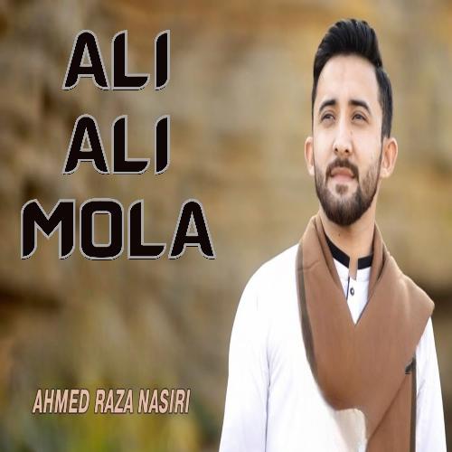 ALI ALI MOLA