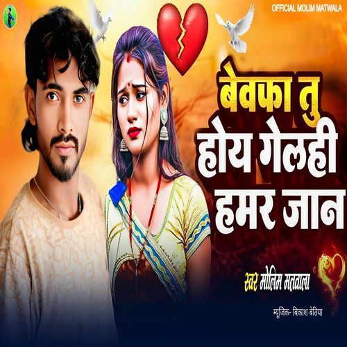 Bewafa Tu Hoy Gelhi Hamar Jaan cover art