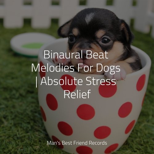 Binaural Beat Melodies For Dogs | Absolute Stress Relief