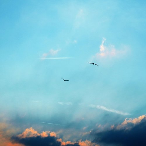 Relaxation Meditation cover art